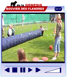 lecteur vidéo flash bouvier 