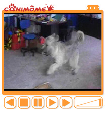 lecteur video flash lecteur video flash